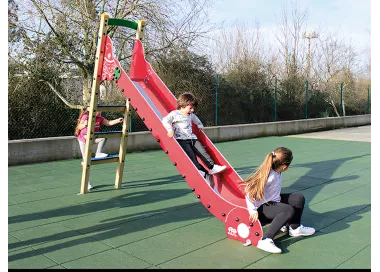 Toboggan Eko bois avec champignon décoratif