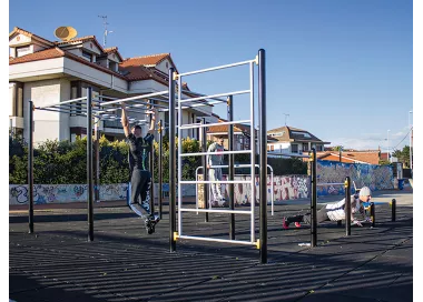 Workout G station musculation street fitness