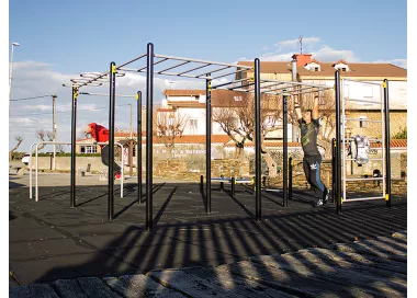 Workout G station musculation street fitness