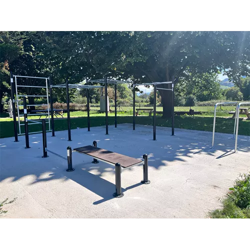 Workout G station musculation street fitness