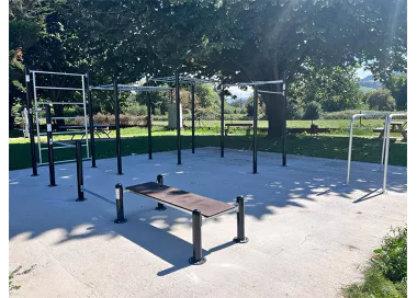 Workout G station musculation street fitness