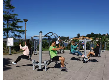 Élévateur à flexion des bras en acier