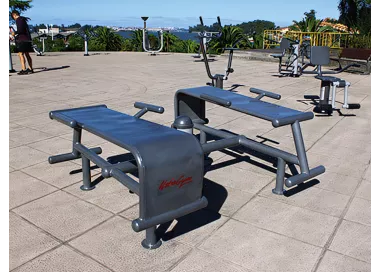Double banc abdominaux en acier peint