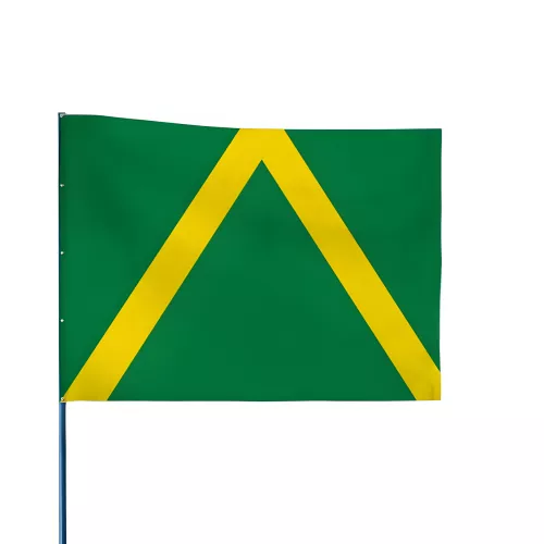 Drapeau de karting vert à chevron jaune 60 x 80 cm