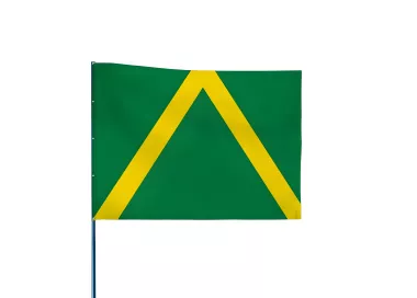 Drapeau de karting vert à chevron jaune 60 x 80 cm