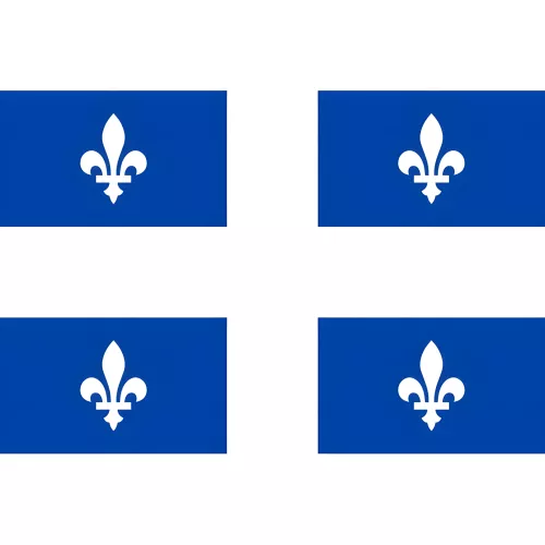 Guirlande Québec 20 fanions PVC translucide 10 m