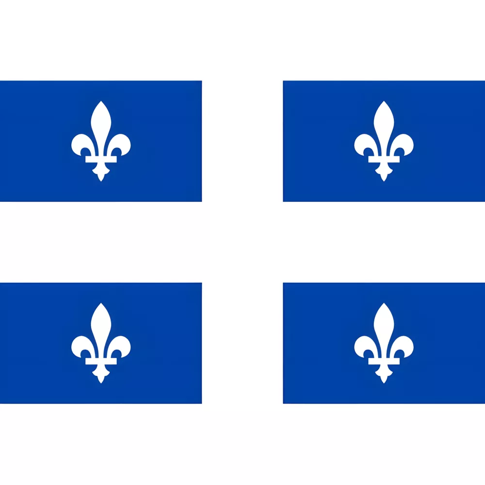 Guirlande Québec 20 fanions PVC translucide 10 m Guirlande Québec 20 fanions PVC translucide 10 m