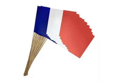 Drapeaux France 14 x 21 cm à agiter sur tige bois