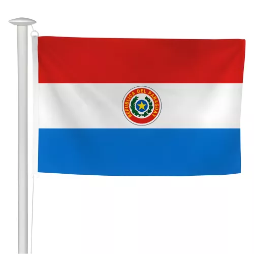 Pavillon Paraguay en maille polyester résistant