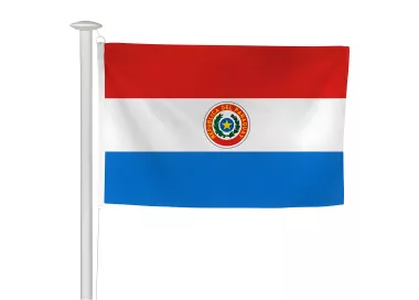 Pavillon Paraguay en maille polyester résistant