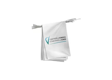 Guirlande Collectivité de Corse fanions rectangulaires 20 x 30 cm
