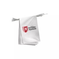 Guirlande région Nouvelle-Aquitaine 10 mètres 20 fanions