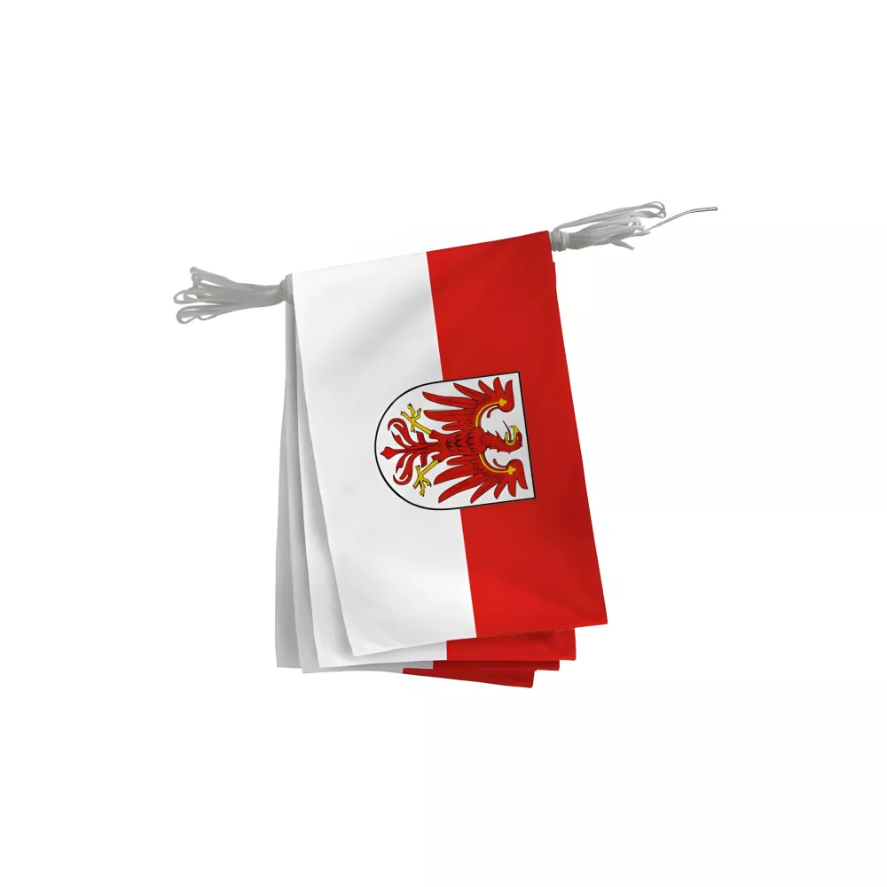 Guirlande Brandebourg en polyester 20 x 30 cm Guirlande Brandebourg en polyester 20 x 30 cm