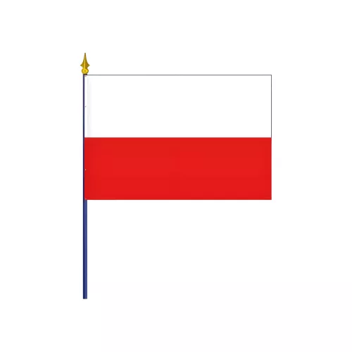 Drapeau Thuringe en polyester avec hampe