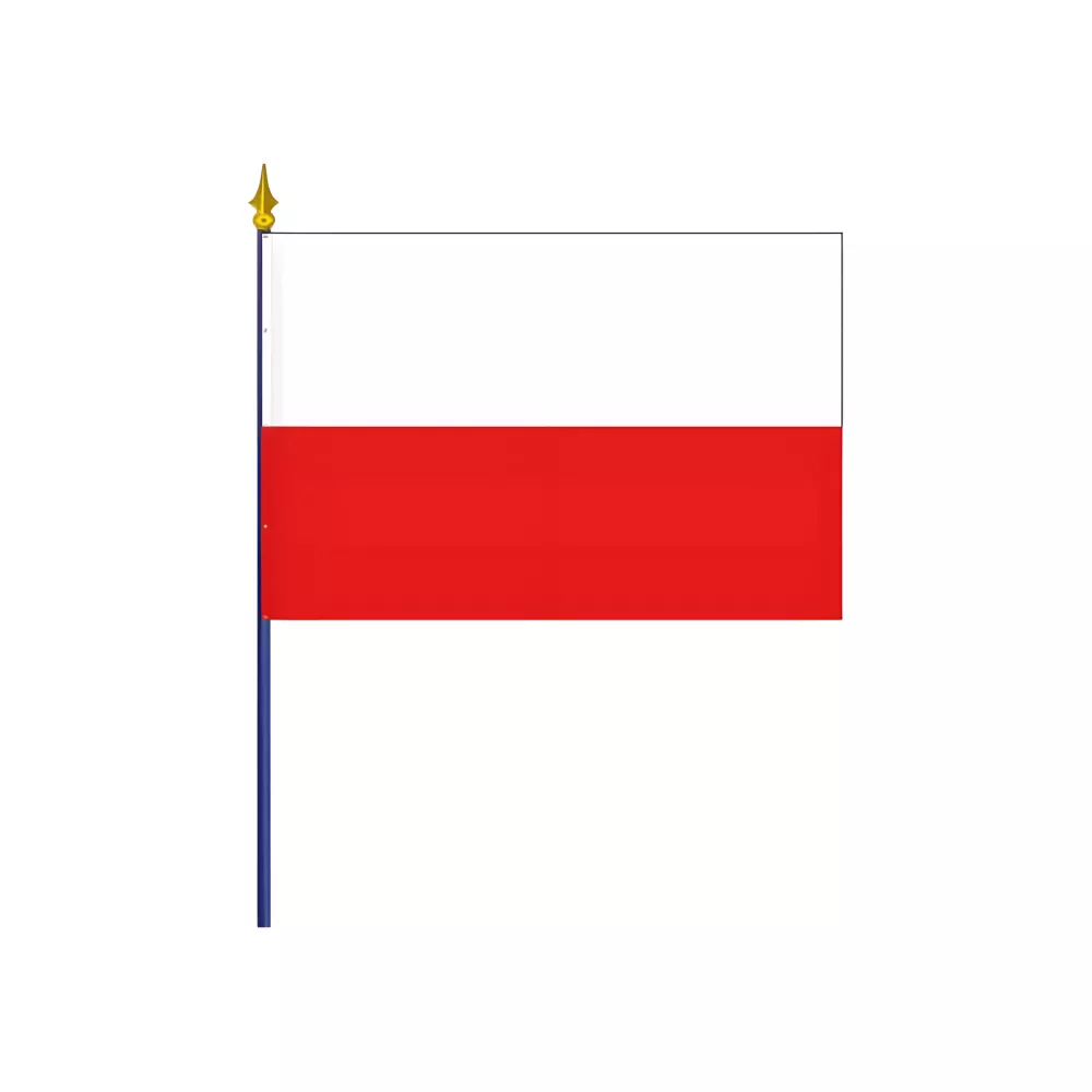 Drapeau Thuringe en polyester avec hampe