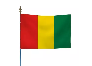Drapeau Guinée en maille polyester avec hampe