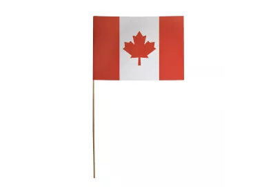 Drapeaux Canada 14 x 21 cm à agiter, tige bois