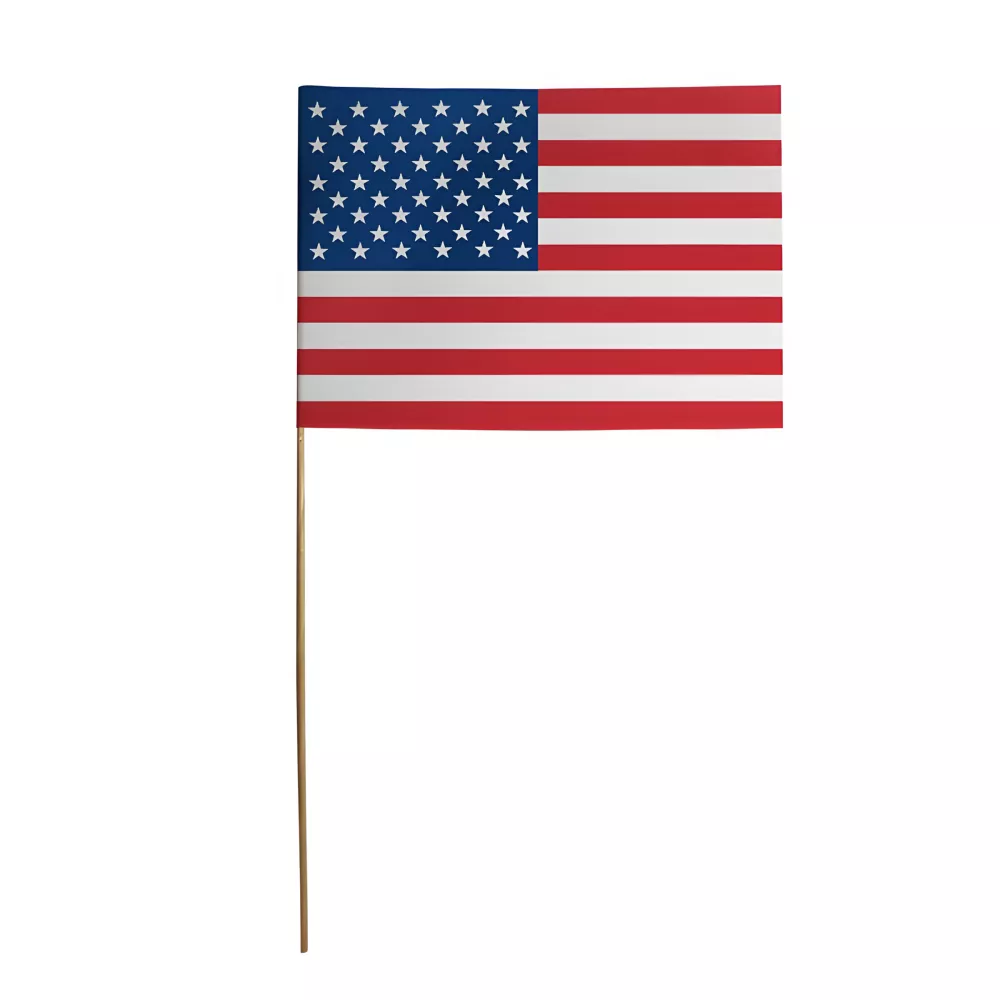 Drapeaux États-Unis 14 x 21 cm à agiter papier épais