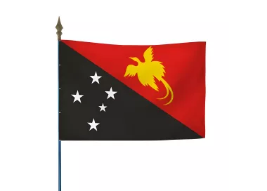 Drapeau Papouasie-Nouvelle-Guinée en maille polyester avec hampe
