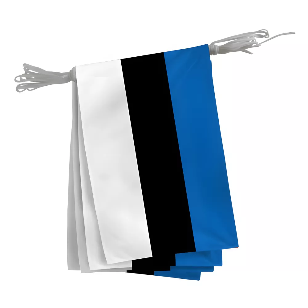 Guirlande Estonie fanions rectangulaires 20 x 30 cm Guirlande Estonie fanions rectangulaires 20 x 30 cm