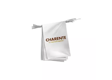 Guirlande Conseil Départemental Charente polyester 20 x 30 cm