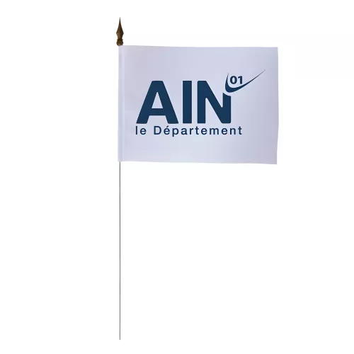 Drapeau de table Conseil Départemental de l'Ain 10 x 15 cm polyester