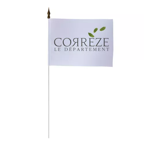 Drapeau de table Conseil Départemental Corrèze 10 x 15 cm maille polyester