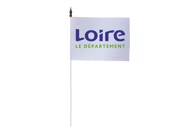 Drapeau de table Conseil Départemental Loire 10 x 15 cm polyester