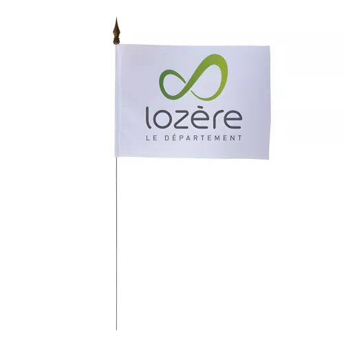 Drapeau de table Conseil Départemental Lozère 10 x 15 cm polyester