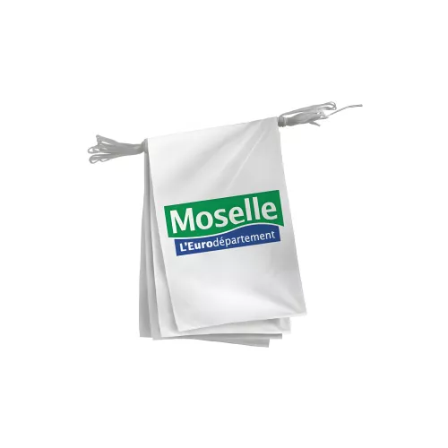 Guirlande pavoisement Conseil Départemental de la Moselle