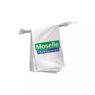Guirlande pavoisement Conseil Départemental de la Moselle