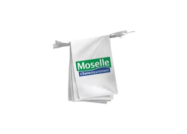 Guirlande pavoisement Conseil Départemental de la Moselle