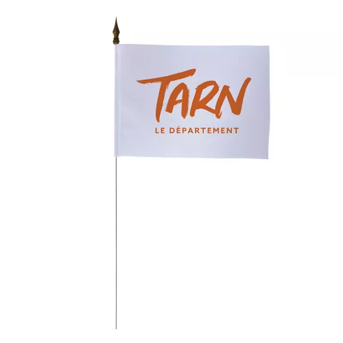 Drapeau de table Conseil Départemental du Tarn 10 x 15 cm polyester