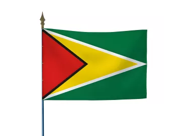 Drapeau du Guyana en maille polyester 115 g/m²