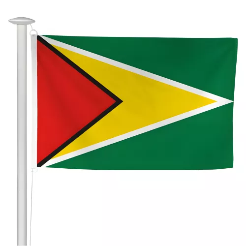 Pavillon du Guyana pour mât sans potence