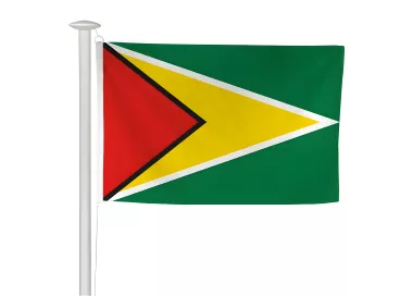 Pavillon du Guyana pour mât sans potence