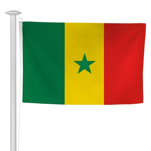 Pavillon Sénégal en polyester 115g/m²