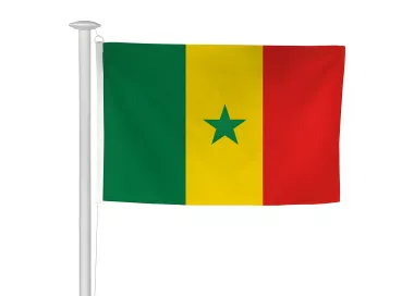 Pavillon Sénégal en polyester 115g/m²