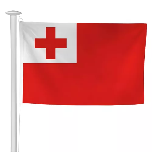 Pavillon Tonga en maille polyester ou ajourée