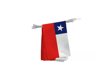 Guirlande Chili en maille polyester 20 x 30 cm