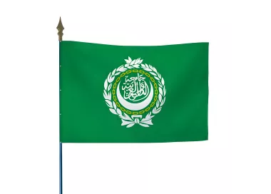 Drapeau de la Ligue Arabe en polyester