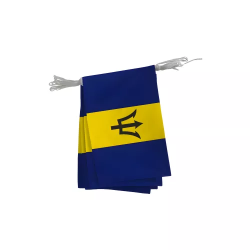 Guirlande de la Barbade en maille polyester 20 x 30 cm