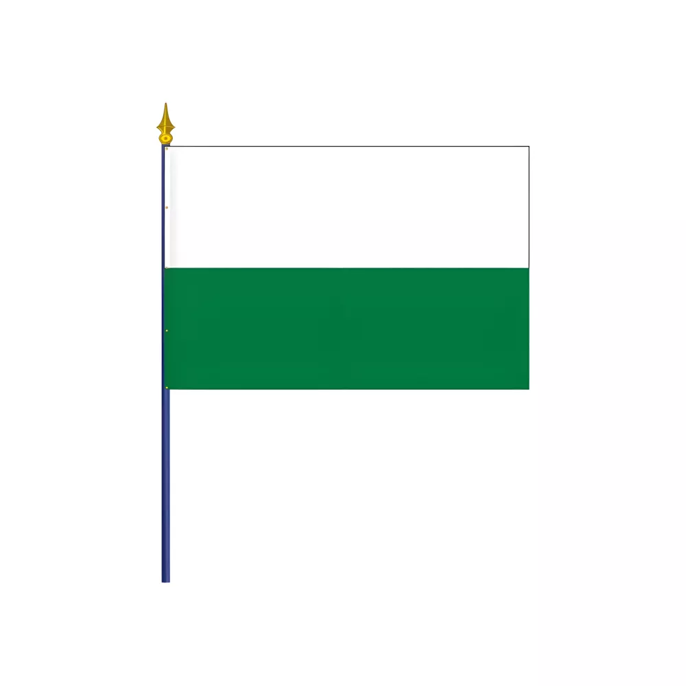 Drapeau Saxe en polyester avec hampe Drapeau Saxe en polyester avec hampe