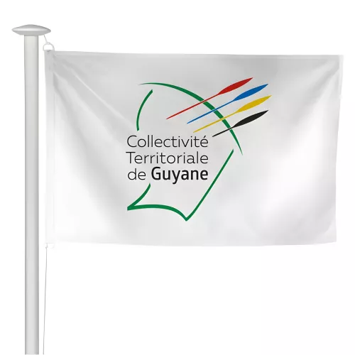 Pavillon collectivité de Guyane pour mât