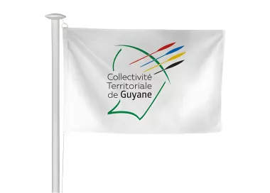 Pavillon collectivité de Guyane pour mât