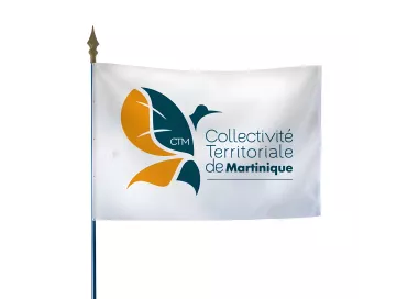 Drapeau Collectivité Territoriale de Martinique en polyester