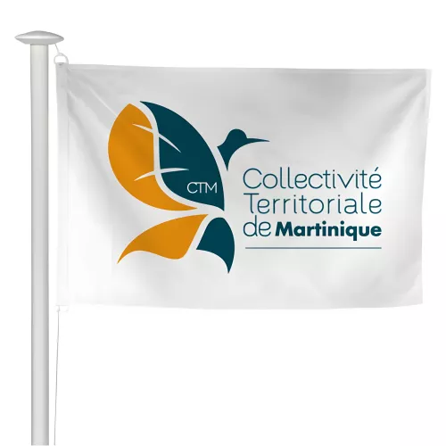 Pavillon Collectivité Territoriale de Martinique en maille polyester
