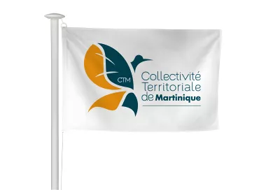 Pavillon Collectivité Territoriale de Martinique en maille polyester