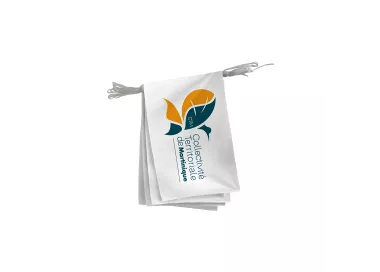 Guirlande Collectivité Territoriale de Martinique en polyester 20 x 30 cm