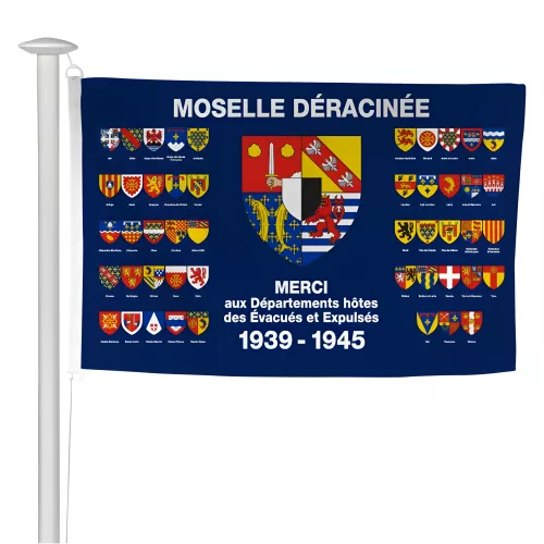 Pavillon Moselle déracinée en maille polyester